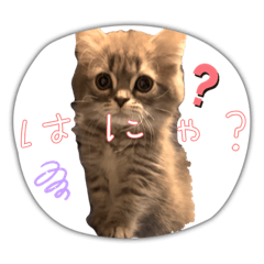 yuka_20231125233531