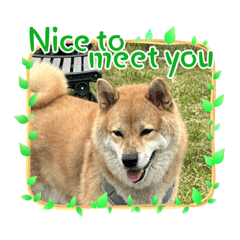 美惠貼圖2