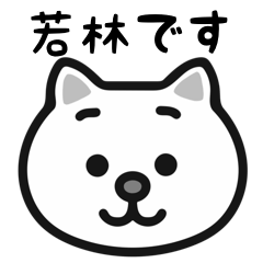 Wakabayashi cat stickers