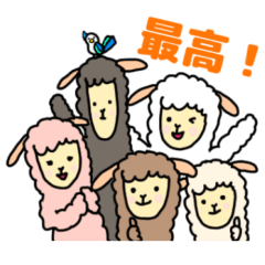 Alpaca-san with friends