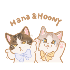 HANA&HOONY Daily