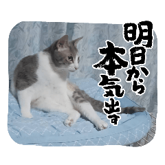 HISASHINAMBA_20231126072231
