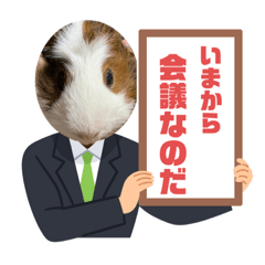 puipui guinea pigs