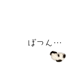 sakura_20231125205754