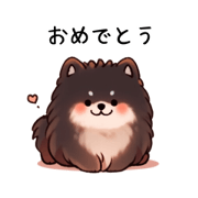 rui_20231126124737