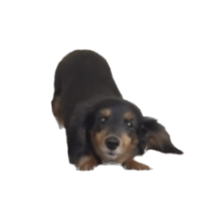 nob_20231125234023