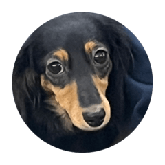 SAYURI_20231126160052