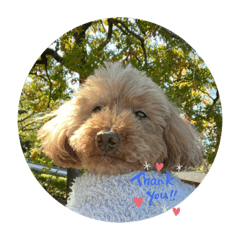 SAYURI_20231126190308