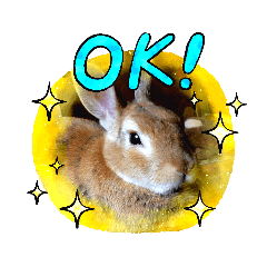 Rabbit's mou sticker