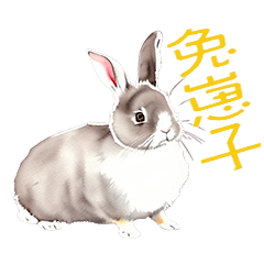 兔崽子日記