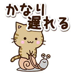 Cute Kijitora cat3