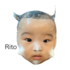 Kikuhono_20231126212656