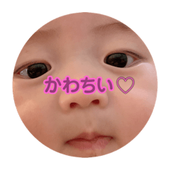 koz_20231126213217