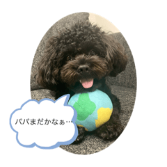 Kana_20231126201840