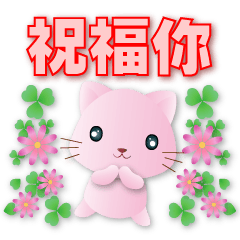 Cute Pink Cat - Daily Phrases