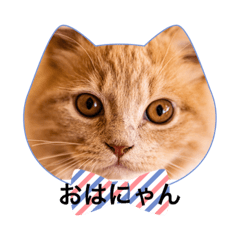 YUKA_20231126214427