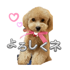 SUZU_20231126233443