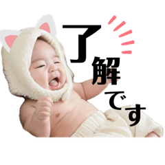 sakura_20231127230433