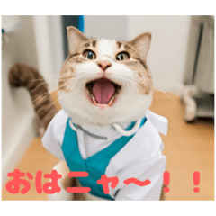 syo_20231126212557