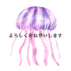 jellyfish activities