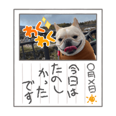 araremama_20231127182338