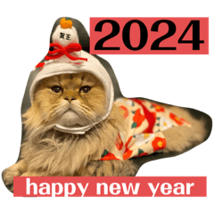 chiaki.k_20231127183442