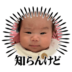 maya_20231127192555
