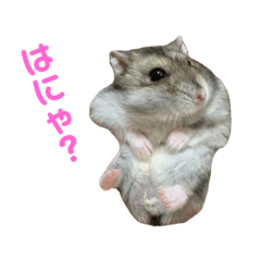 John_20231127201156