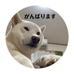 nao_20231128121833