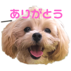 tosaken_20231127201505