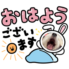 Roger_20231128140450