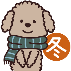 Fluffy Toy Poodle's Winter