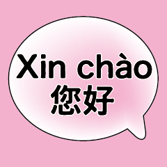 Chinese Vietnamese Common conversations3