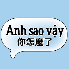 Chinese Vietnamese Common conversations5