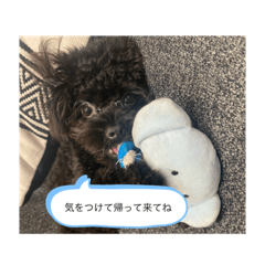 Kana_20231127194239