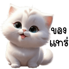 White Cat Cute Tuateung