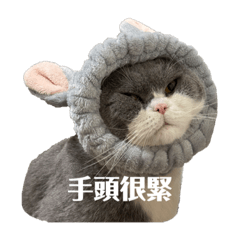 比比Biiibiii 2 – LINE貼圖 | LINE STORE