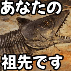 ⚫シーラカンス～化石化した古代魚～