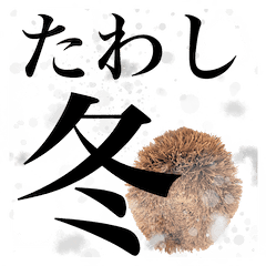 TAWASHI sticker Winter
