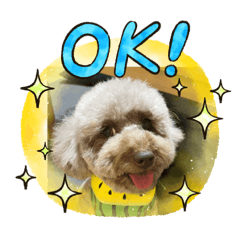 恵美すたんぷちゃみぃ