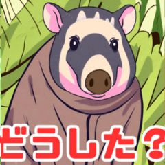 ชุดสัตว์น่ารักพิเศษ: tapir น่ารักในแชท!