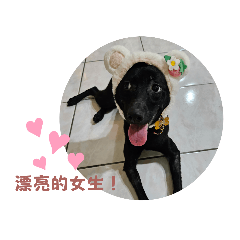 鐵蛋寶寶