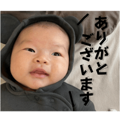yuka_20231128175903