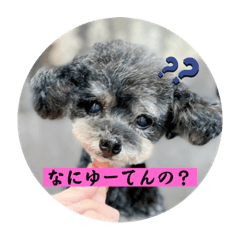 KANA_20231129112439