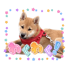 chisa_20231128201725