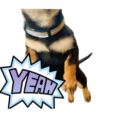 peeen_20231128172856