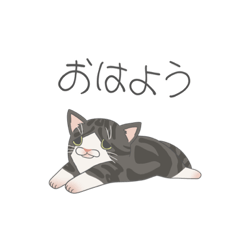 KANA_20231129091205