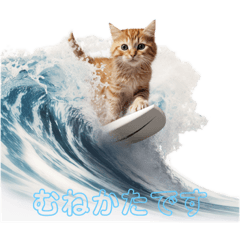 猫とサーフィン