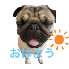 sakura_20231129005248