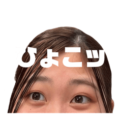 maya_20231129120708